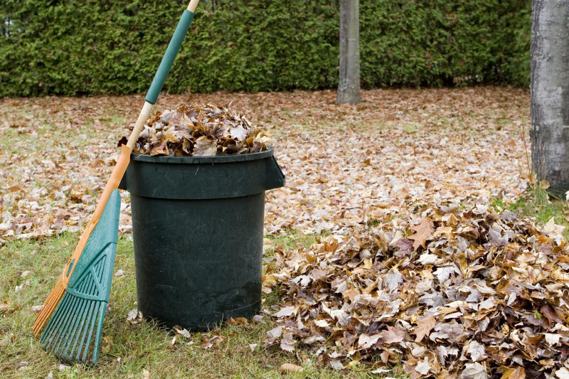 Leaf pick up notice