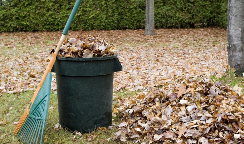 Leaf pick up notice