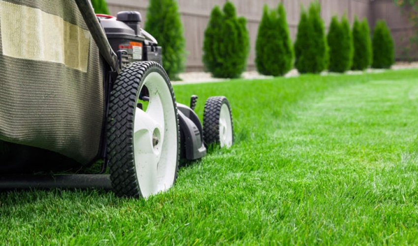 Grass Mowing Season