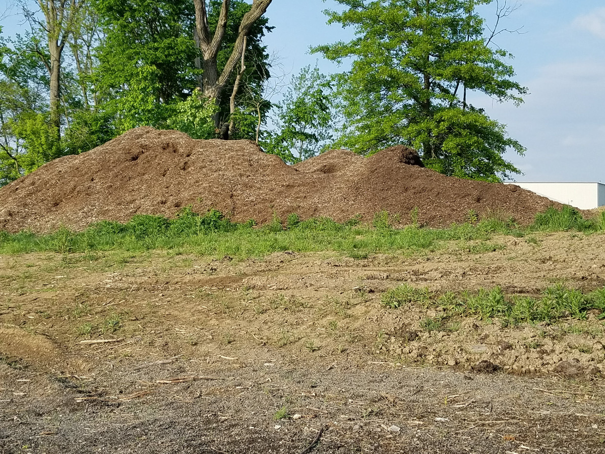 Village Brush Dump Site Update