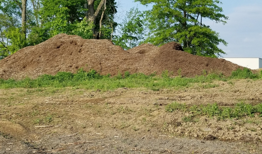 Village Brush Dump Site Update