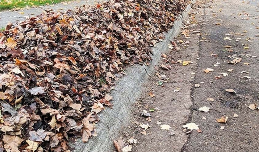 Leaf Pickup in the Village