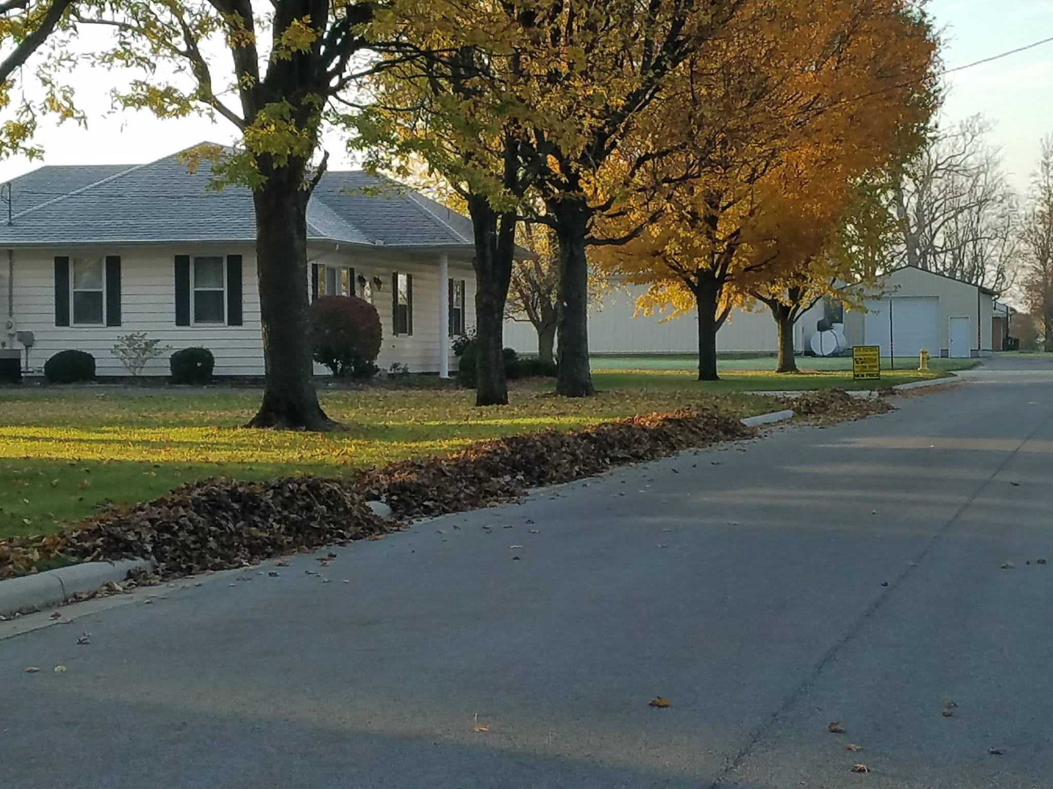 Leaf Pick-up